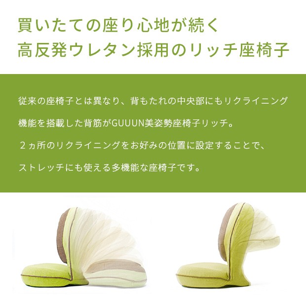 RICH 美姿勢座椅子 背すじがGUUUN 座椅子 リクライニング 背筋矯正 おしゃれ 骨盤 ストレッチ 姿勢 洗える 送料無料