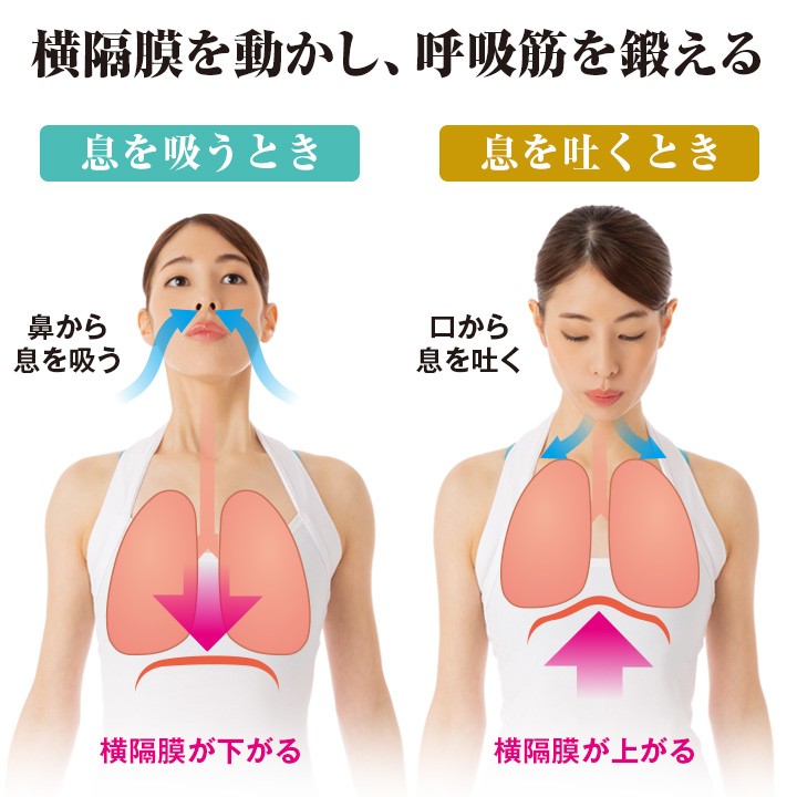 鼻から吸う 口から吐く力強い呼吸 カラオケ好き スポーツ 呼吸筋刺激 Dr.PRO