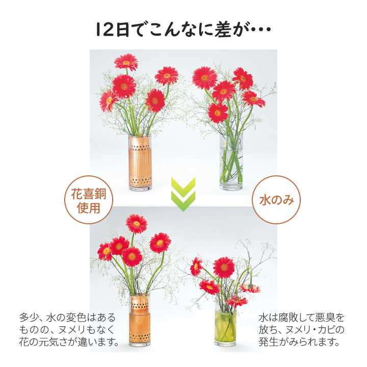 銅イオン 水が活性化 快適な水環境 切り花 花束 花 長持ち 腐敗を防ぐ サイズ調整可能