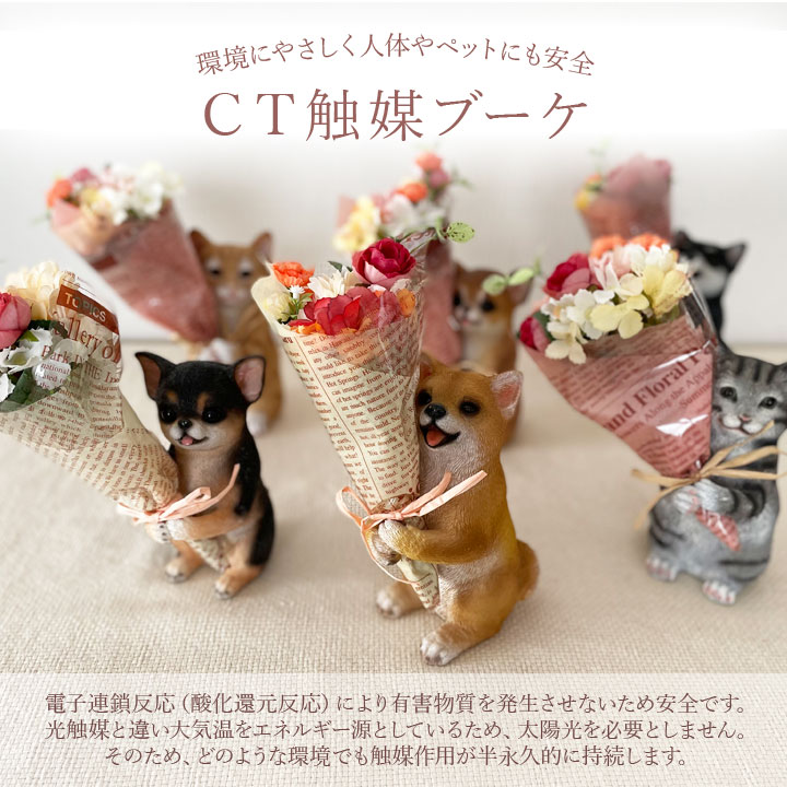 ミニョンブーケ カワイイ 可愛い 飾る 置く 空気清浄 贈り物 プレゼント ありがとう おめでとう