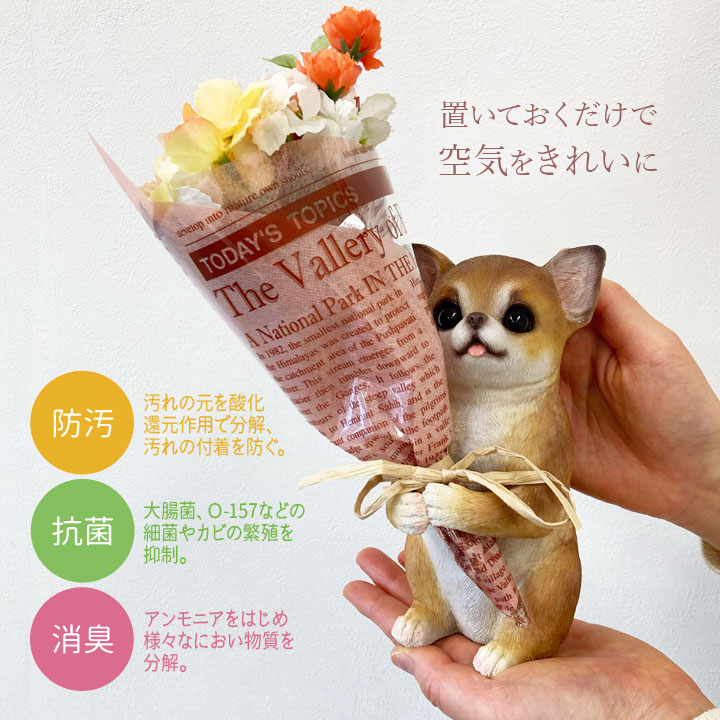 ミニョンブーケ カワイイ 可愛い 飾る 置く 空気清浄 贈り物 プレゼント ありがとう おめでとう