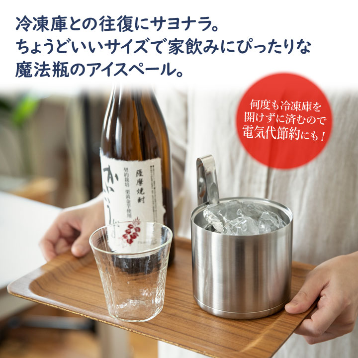 ミニサイズ 氷入れ 冷やす コンパクト 木製フタ 氷つかみ付 保存容器 セット