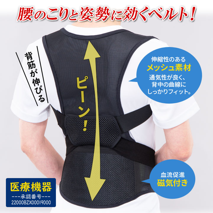 姿勢ベルト 腰ベルト 胸を開く 背すじを伸ばす 姿勢を正す 若々しい印象