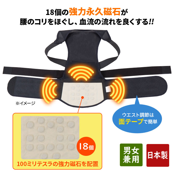 姿勢ベルト 腰ベルト 胸を開く 背すじを伸ばす 姿勢を正す 若々しい印象
