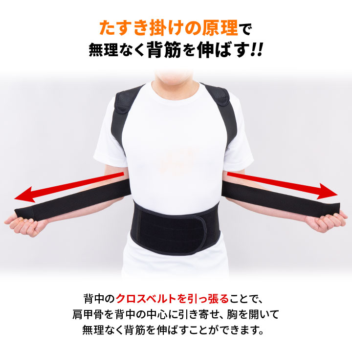 姿勢ベルト 腰ベルト 胸を開く 背すじを伸ばす 姿勢を正す 若々しい印象