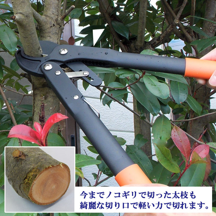 園芸用品 枝切りバサミ ハサミ 切る 切断 太い枝 整枝 剪定