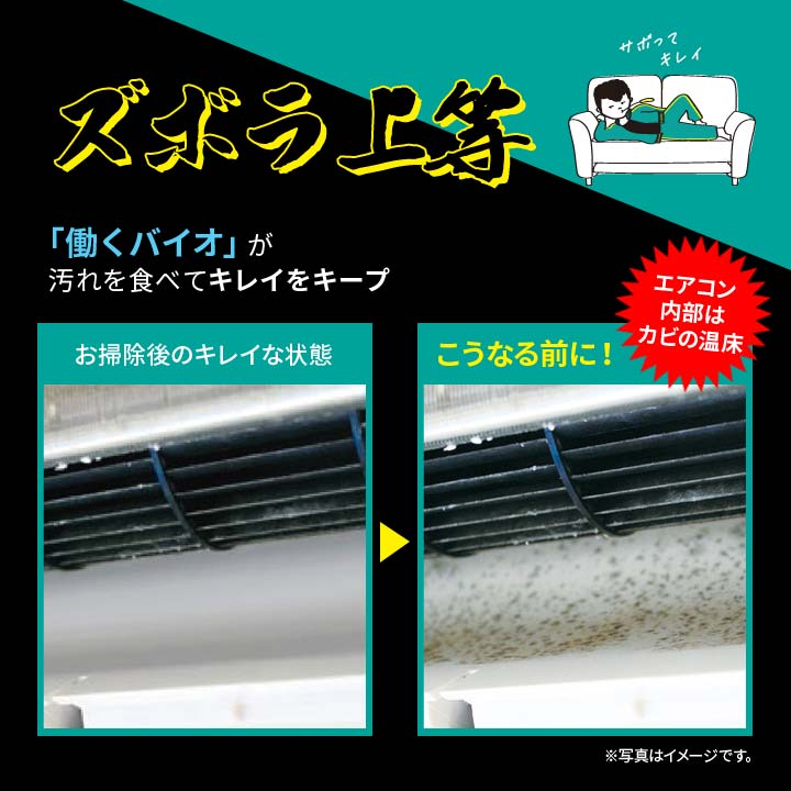 エアコン バイオ カビ 悪臭予防 防カビ におい 防カビ カビ臭予防 吸気口 置く ラク