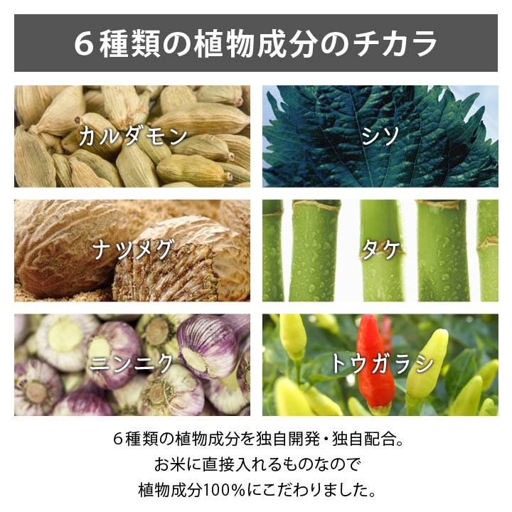 日本製 防虫剤 虫除け 虫よけ 害虫 予防 対策 米びつ 米櫃 こめ 日本製 防虫剤 虫除け 虫よけ 害虫 予防 対策 米びつ 米櫃 こめ
