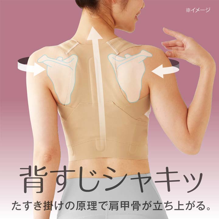 ピタ肌 健康 ボディケア 姿勢 猫背 反り腰 肩甲骨 肋骨 背筋 体