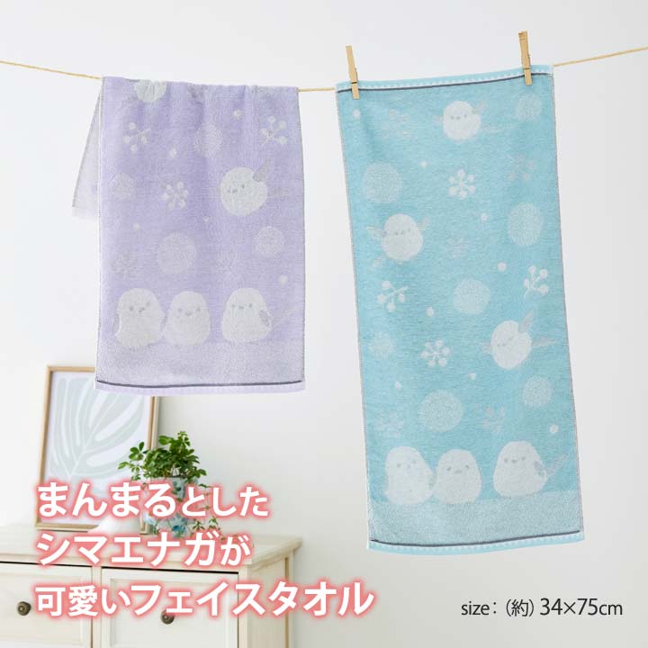 34×75 バスグッズ タオル 洗面所 日常使い 綿100 コットン パイル