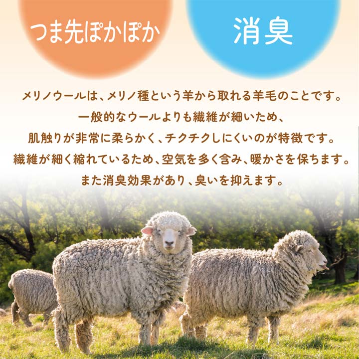 あったかカバー 足先用 重ねる つま先カバー メリノウール 柔らかい チクチクしにくい 保温