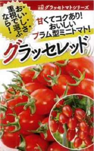 グラッセ レッド 1000粒 トマト とまと 蕃茄【フタバ 種 たね タネ】【通常5倍 5のつく日はポイント10倍】