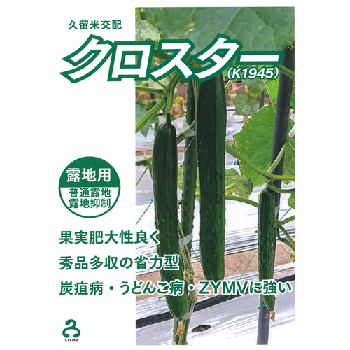 クロスター 350粒  胡瓜 キュウリ きゅうり【久留米原種育成会 種 たね タネ】【通常5倍 5のつく日はポイント10倍】