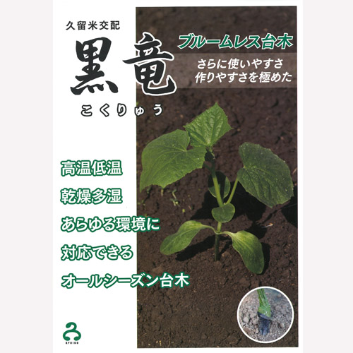 黒竜 350粒 台木 ダイギ だいぎ【久留米原種育成会 種 たね タネ】【通常5倍 5のつく日はポイント10倍】 |  | 01