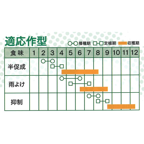 スック 350粒 胡瓜 キュウリ きゅうり【久留米原種育成会 種 たね タネ】【通常5倍 5のつく日はポイント10倍】 |  | 02