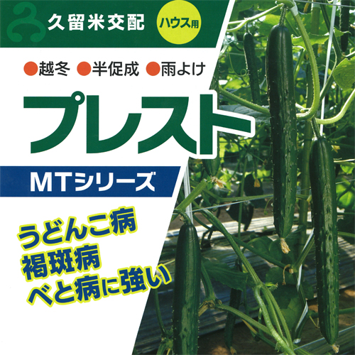 プレスト 350粒 胡瓜 キュウリ きゅうり【久留米原種育成会 種 たね タネ】【通常5倍 5のつく日はポイント10倍】