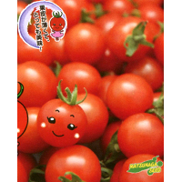 まゆか ミニトマト 100粒 松永交配 【松永種苗 種 たね タネ】【通常5倍 5のつく日はポイント10倍】 | 