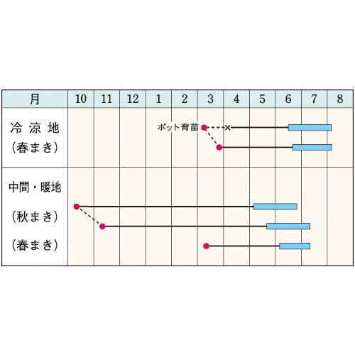 スナップ豌豆 グルメ タキイ育成 1L さやえんどう サヤエンドウ 莢豌豆【タキイ 種 たね タネ】【通常5倍 5のつく日はポイント10倍】 |  | 01