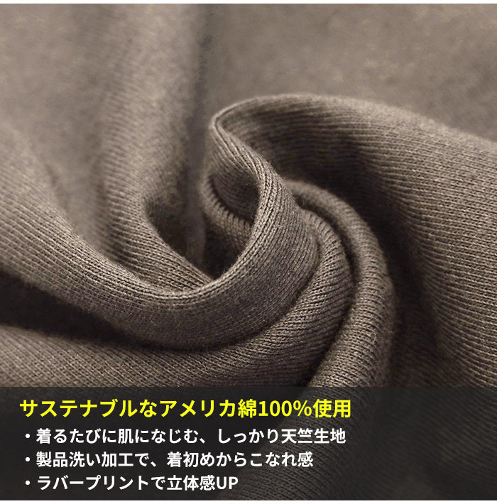 シブがき様専用』ベジータチャンピオンシップ
