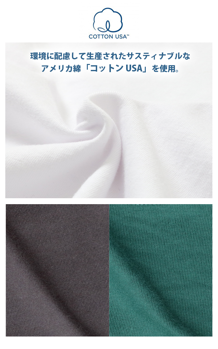 チャンピオン Champion 長袖 プリントTシャツ メンズ ロンT tシャツ カレッジロゴ シンプル クルーネック USAコットン 綿100％ ブランド C3-Y424｜jxt-style｜03