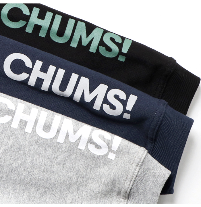 CHUMS チャムス パーカー プルオーバー 袖ロゴ プルパーカー