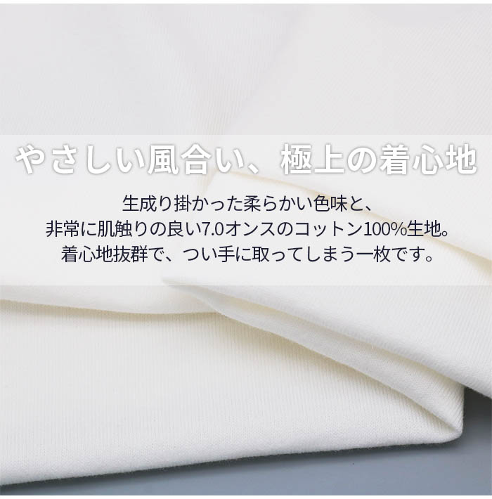 Hanes（ヘインズ） SHIRO シロ tシャツ 長袖 無地 ロンT Hanes クルー