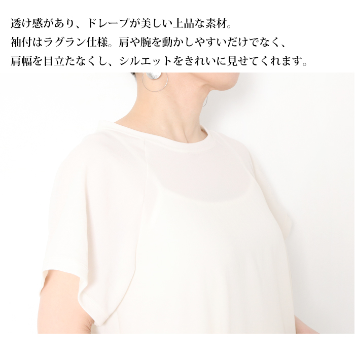 DOLLY SEAN（ドーリーシーン） シアー カットソー 半袖 プルオーバー