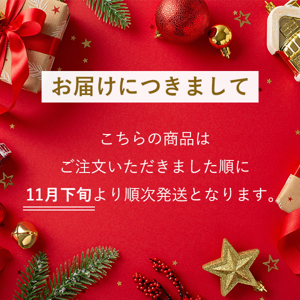 2024 クリスマスプレゼント ピエール・エルメ・パリ カランドリエ ド ラヴァン シニャチュール ノエル 〈15367〉アドベントカレンダー  ショコラ サブレ ギフト