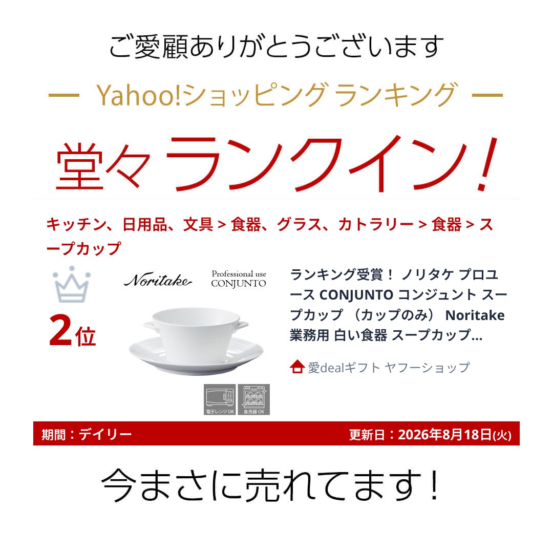 ノリタケ ランキング受賞！ 当日出荷 プロユース CONJUNTO