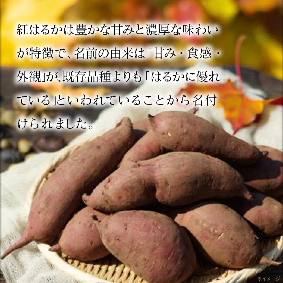 紅はるか3kg4