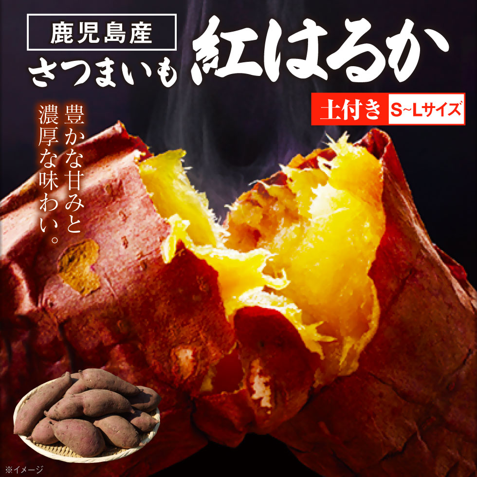 さつまいも 紅はるか 鹿児島 生芋 3kg SMLサイズ 土付き 産地直送