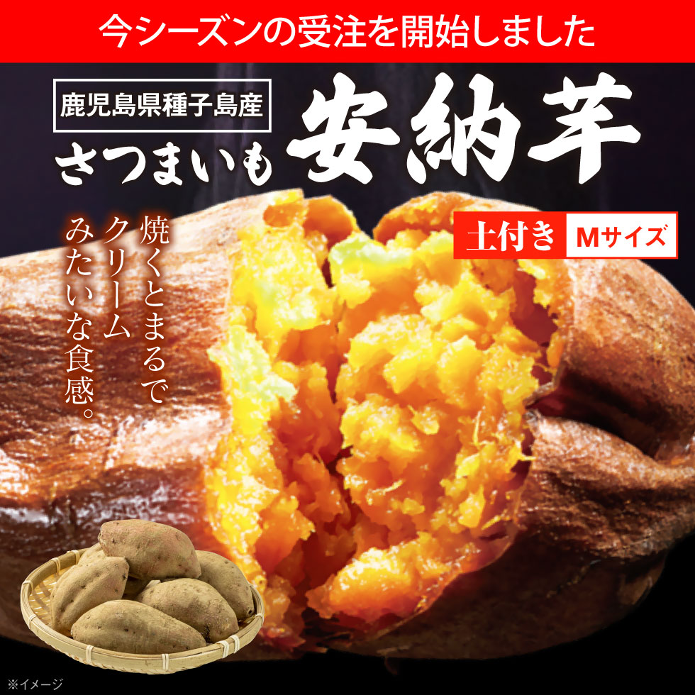 ポイント2倍) さつまいも 安納芋 種子島 産 生芋 6kg Mサイズ 土付き