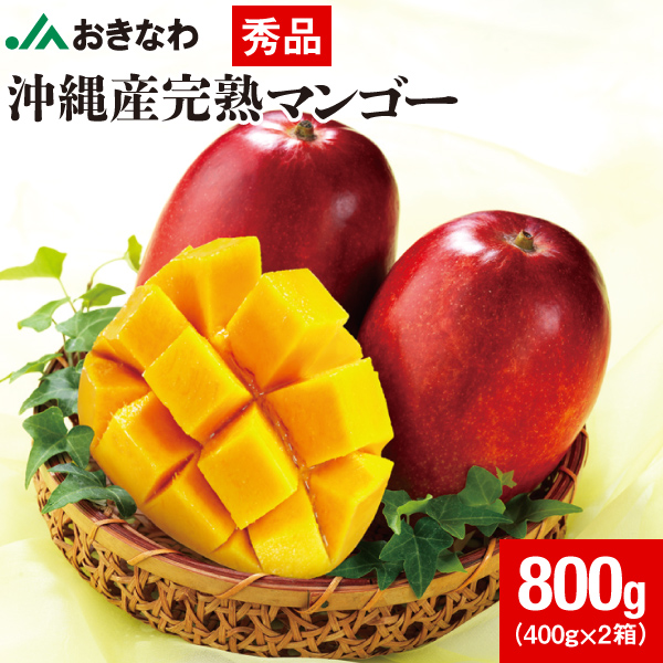 【 秀品 】贈答用マンゴー 1kg〜 ポイント2倍) マンゴー 沖縄 秀品 JAおきなわ ギフト 1kg 完熟マンゴー
