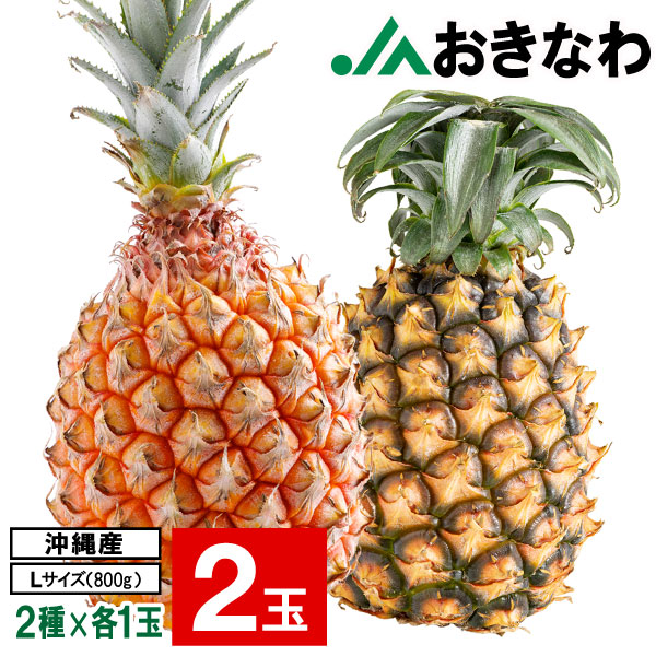 パイナップル 沖縄産 ピーチパイン スナックパイン JAおきなわ Lサイズ