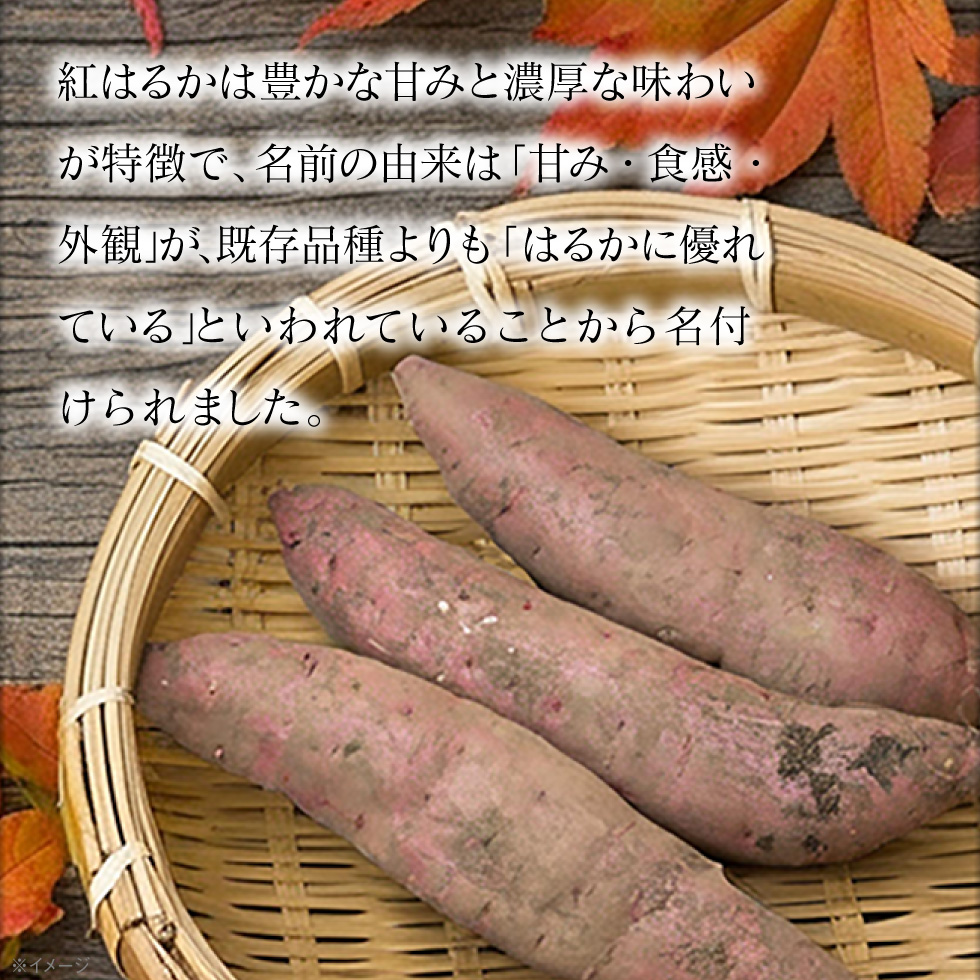 紅はるか3kg4