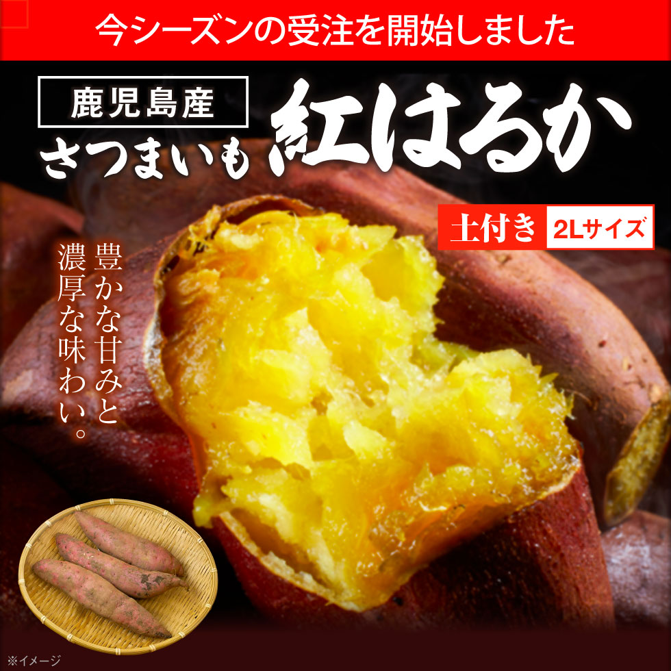 紅はるか3kgファーストビュー