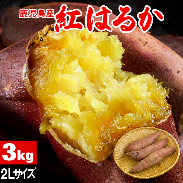 さつまいも 紅はるか 鹿児島 生芋 3kg 2Lサイズ 土付き 産地直送