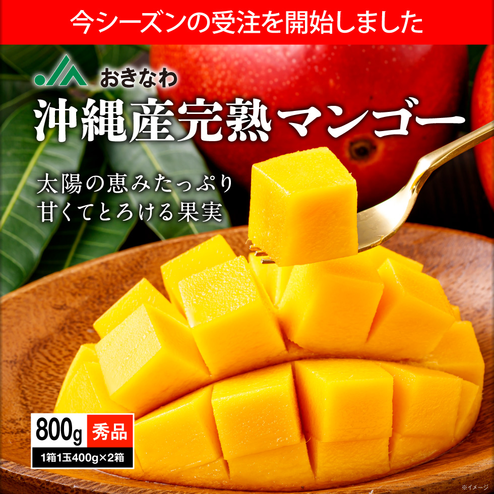 沖縄県産マンゴーファーストビュー