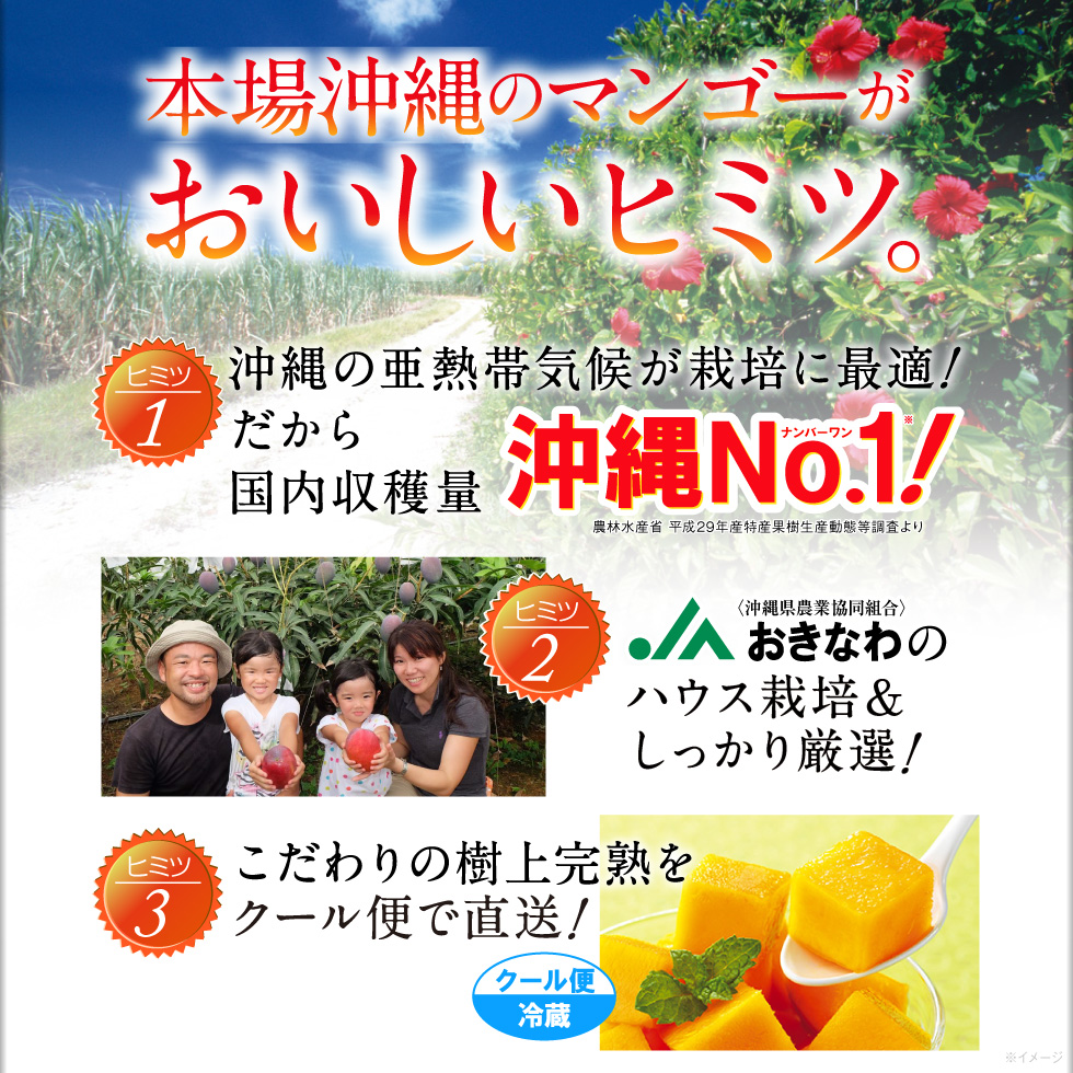 アップルマンゴー　アップしているものあわせて3キロ以上でもOKです。 山北 完熟アップルマンゴー（アーウィン種） | オレンジハートのくだもの屋