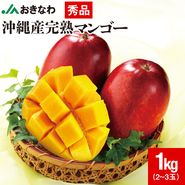 ポイント2倍) マンゴー 沖縄 秀品 JAおきなわ ギフト 1kg 完熟マンゴー