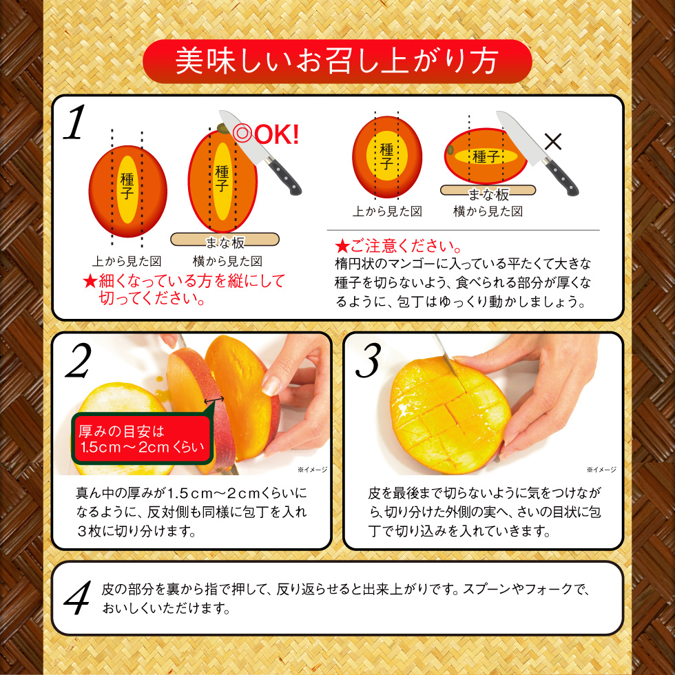 ポイント2倍) マンゴー 沖縄 家庭用 訳あり JAおきなわ 完熟マンゴー