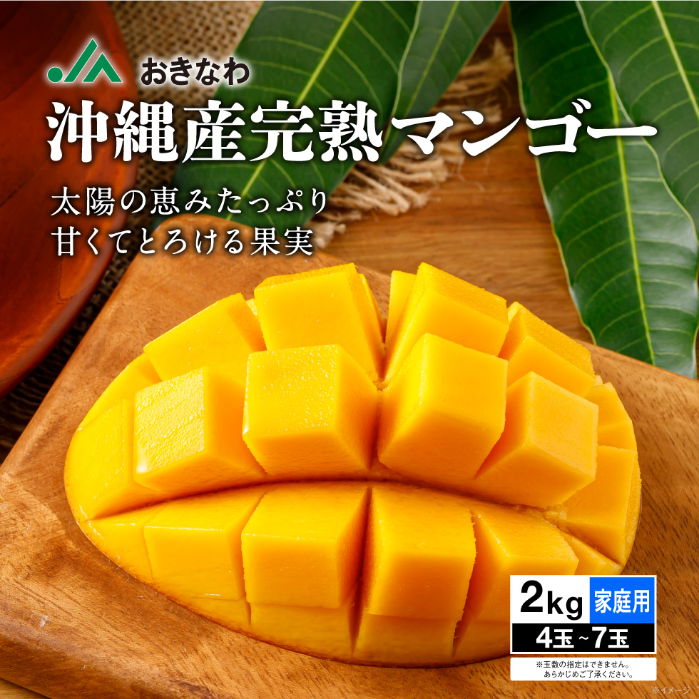 マンゴー 沖縄 家庭用 JAおきなわ 完熟マンゴー 2kg (4〜7玉) アップル