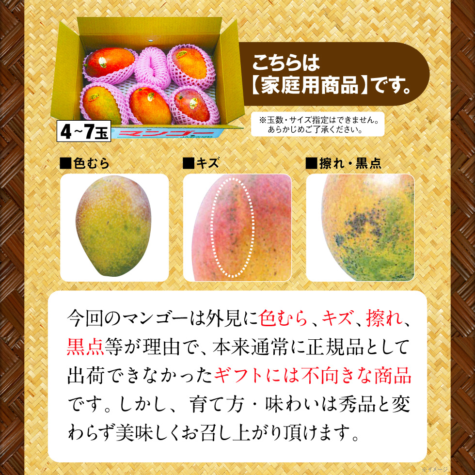 マンゴー 沖縄 家庭用 JAおきなわ 完熟マンゴー 2kg (4〜7玉) アップル
