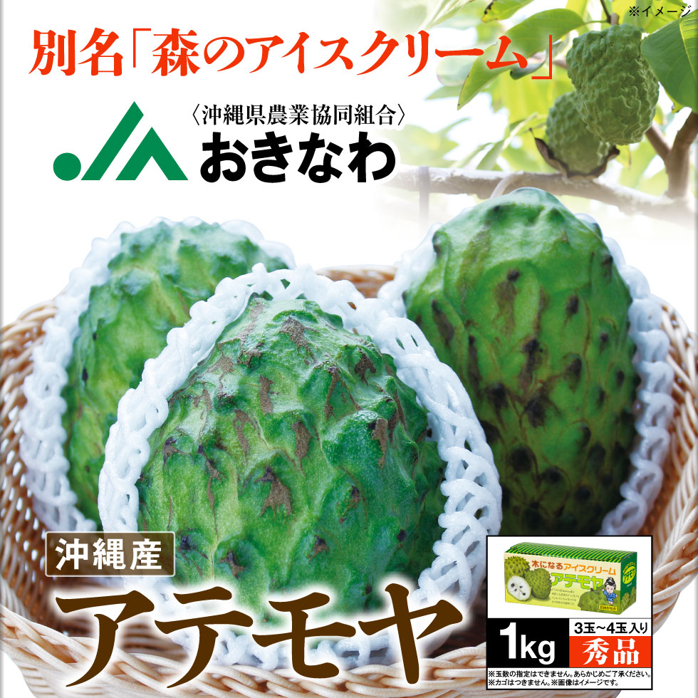アテモヤファーストビュー