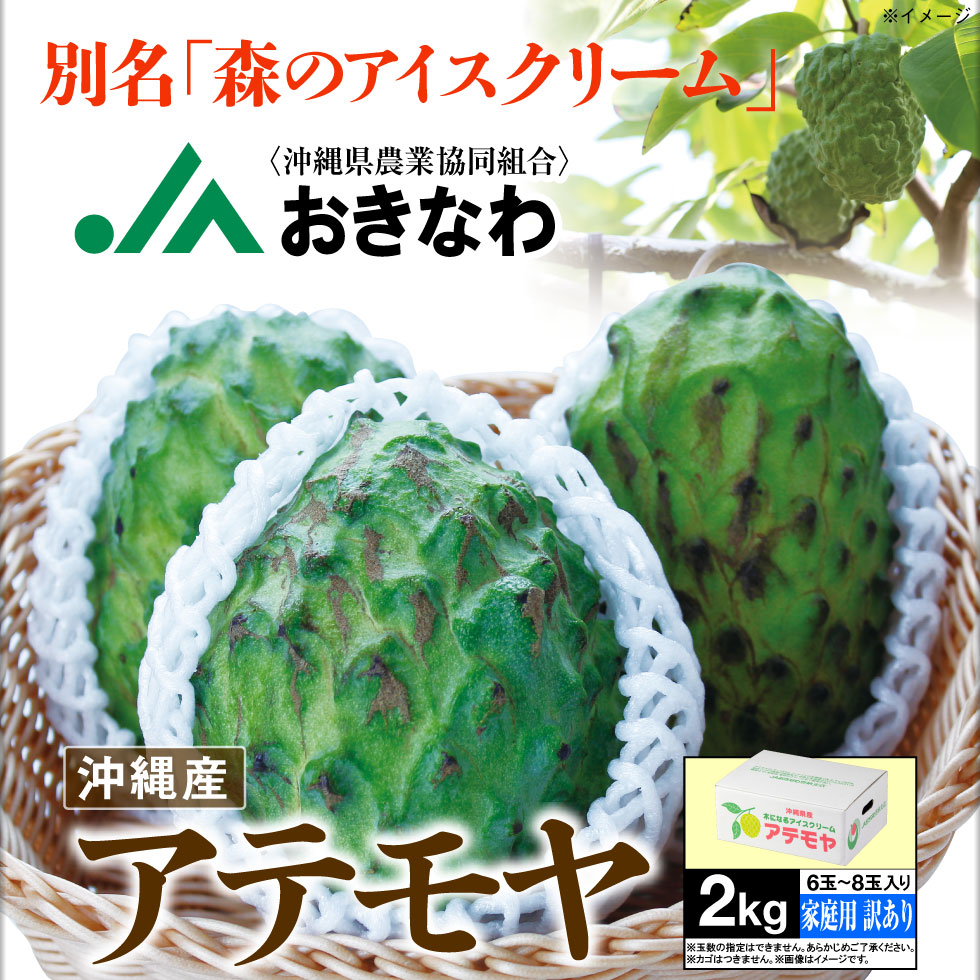 アテモヤファーストビュー