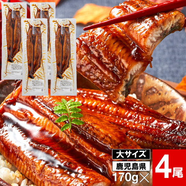 (ポイント2倍) うなぎ 国産 ギフト 鰻 蒲焼き 170g 4尾 鹿児島 大隅産 バレンタイン プレゼント お取り寄せ 爆買