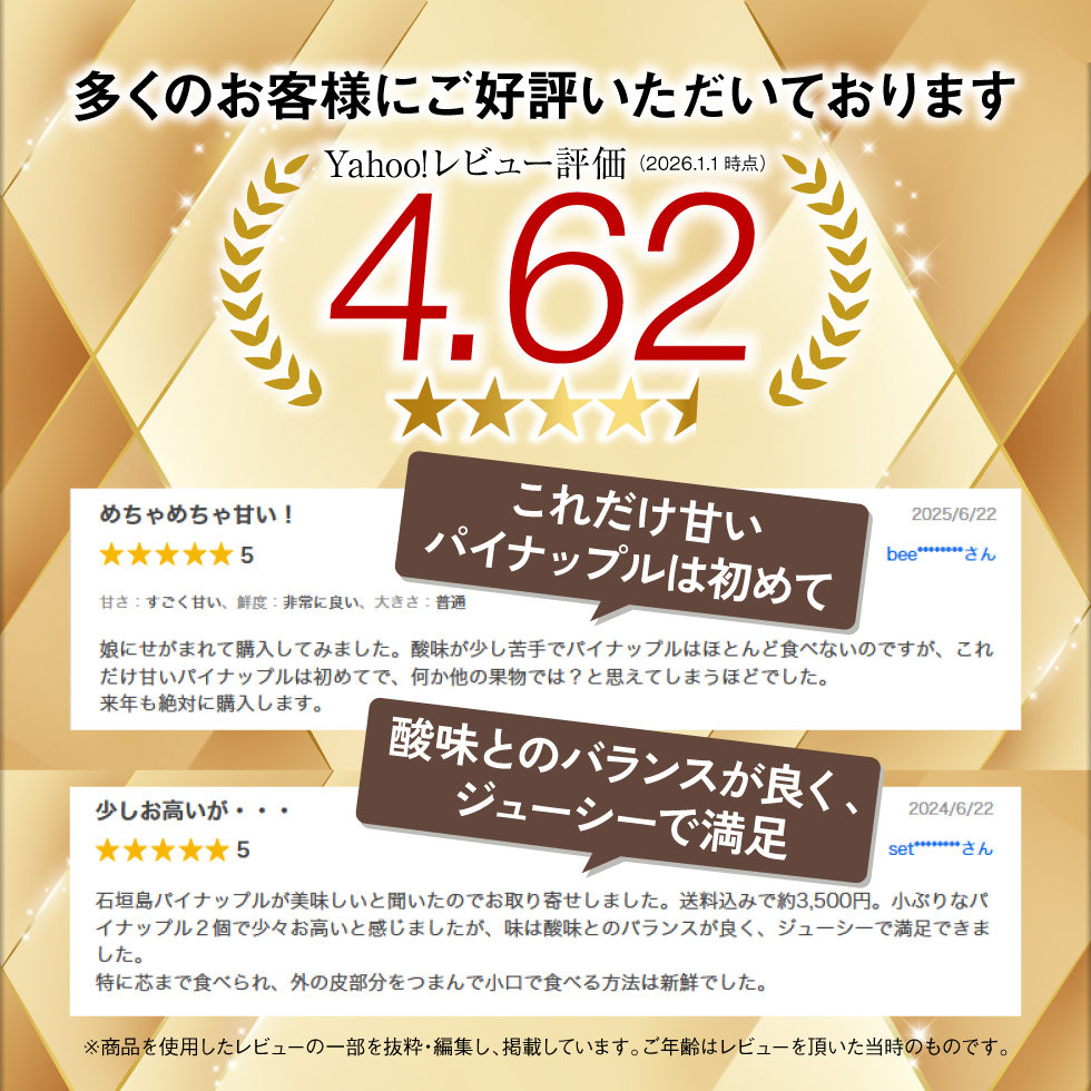 スナックパインレビュー