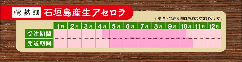 アセロラ9
