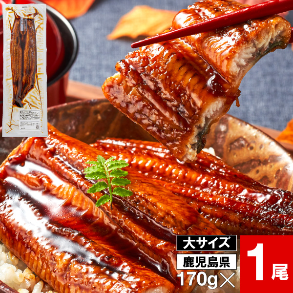 (ポイント2倍) うなぎ 国産 ギフト 鰻 蒲焼き 170g 1尾 鹿児島 大隅産 バレンタイン プレゼント お取り寄せ 爆買