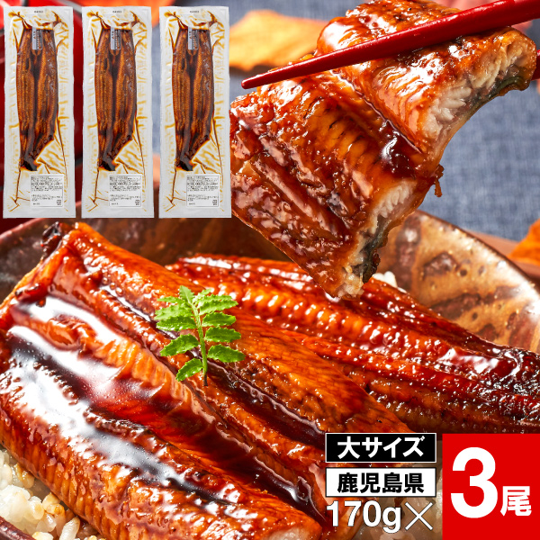 2026 うなぎ 国産 ギフト 鰻 蒲焼き 170g 3尾 鹿児島 大隅産 うなぎ